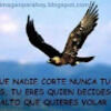 sonrisamia8687